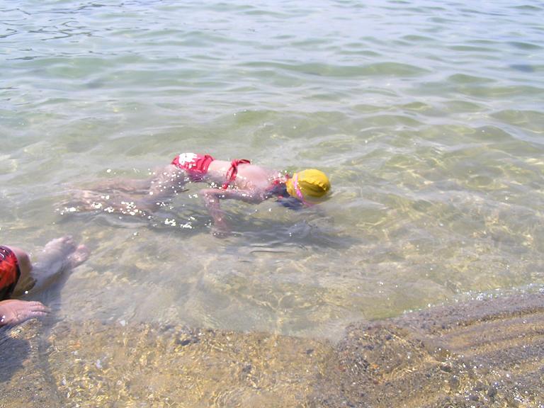海水浴 8 11
